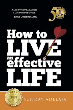 How to Live an Effective Life